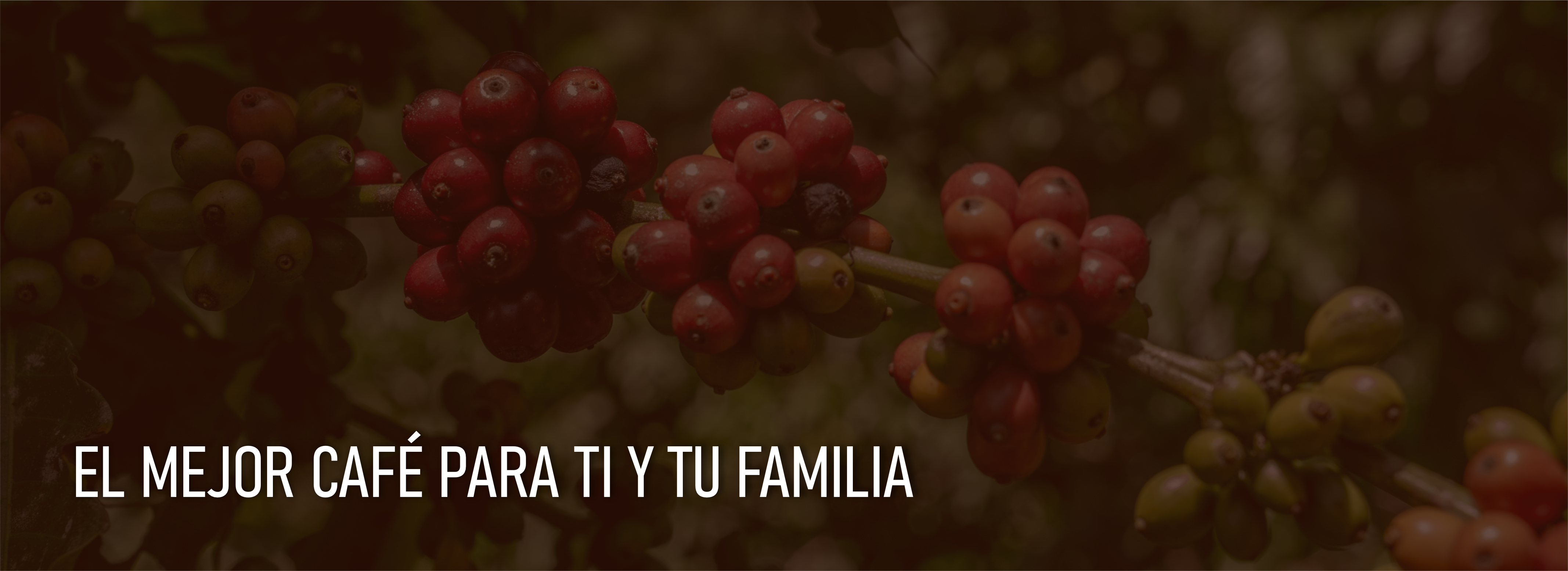 imagen carrusel